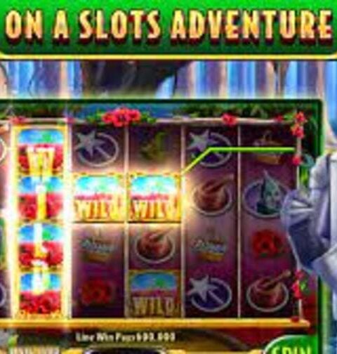 how to enter cheat codes for wizard of oz slots